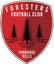 Tunbridge Wells Foresters FC
